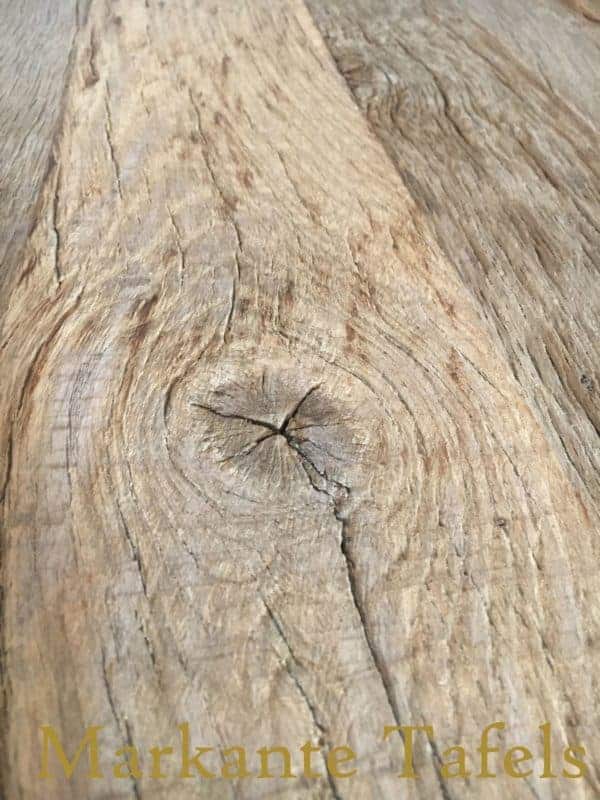 Detail van een robuust oud eiken